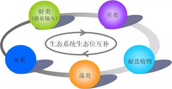浙江省海洋水產(chǎn)研究所多生態(tài)位設施化耦合養(yǎng)殖技術開發(fā)及應用榮獲省科技進步三等獎